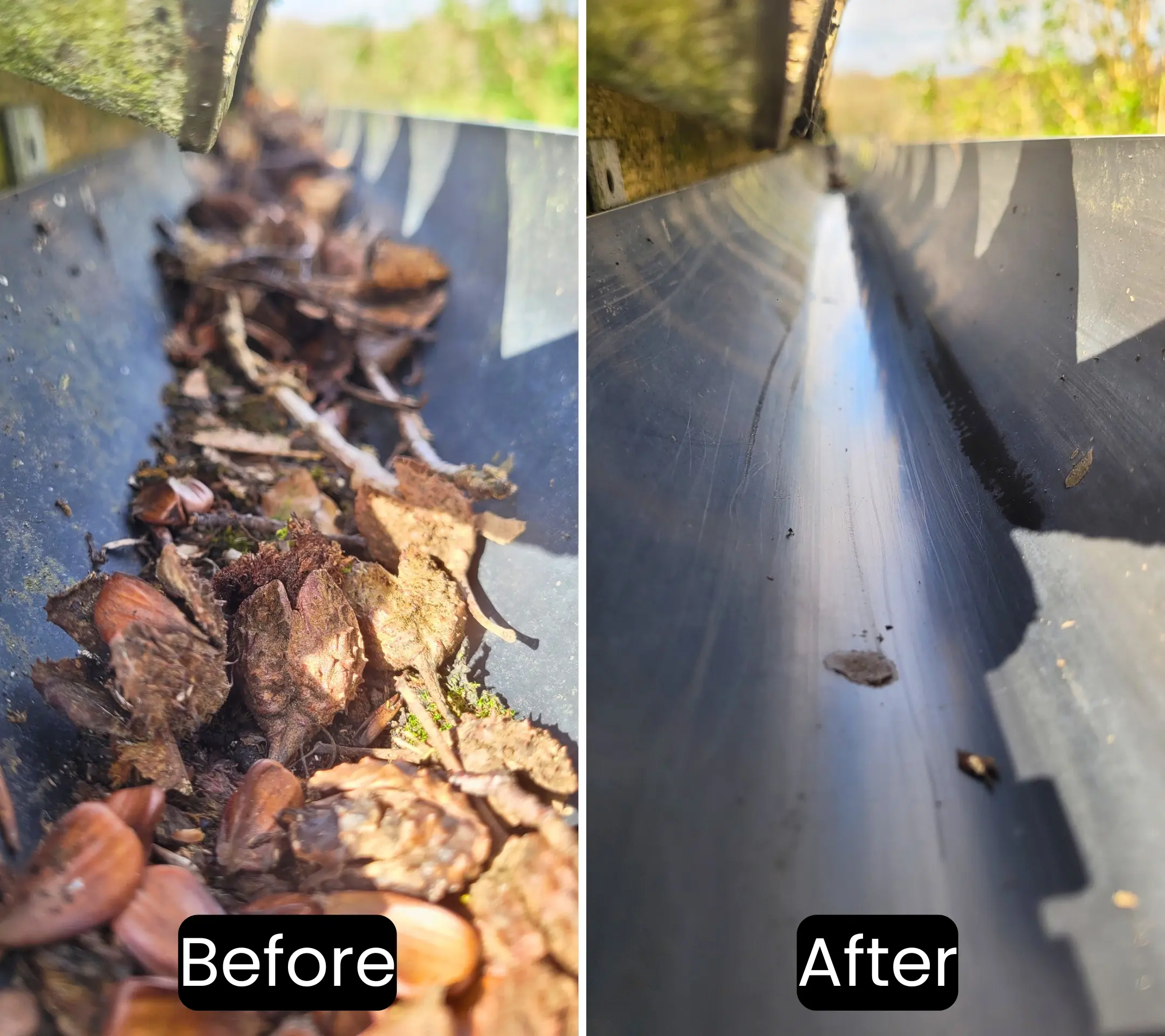 Gutter cleaning in Cambridge