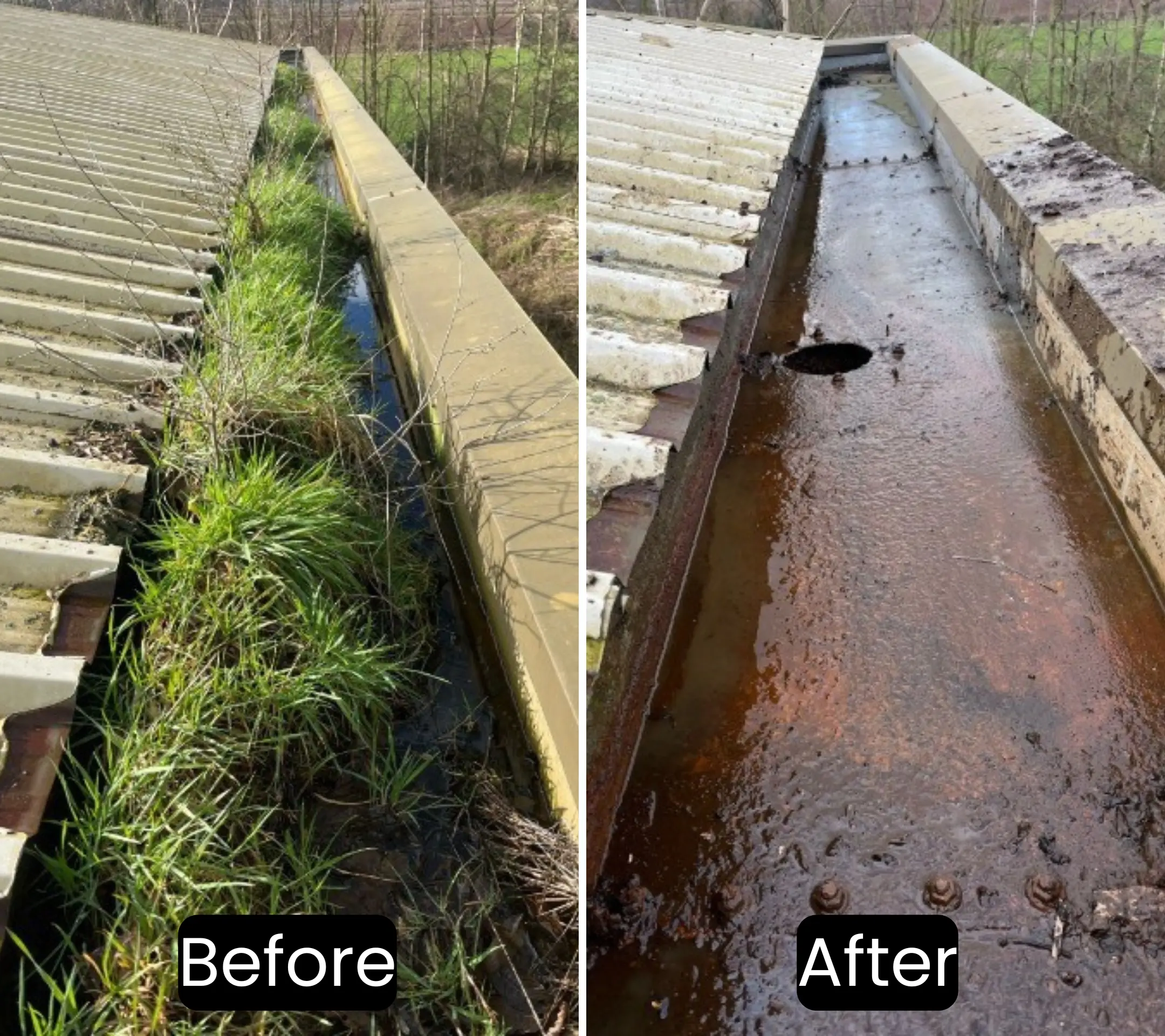Commercial gutter cleaning in Peterborough